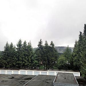 Winterberg Appartement 21028
